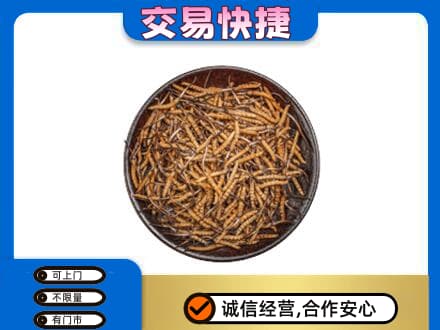 扬州市回收散虫草